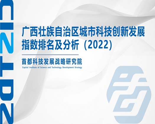 太深拔出来要高潮了视频【成果发布】广西壮族自治区城市科技创新发展指数排名及分析（2022）